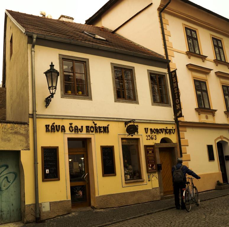 Penzion U Borovicku Litoměřice Extérieur photo