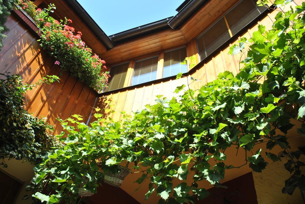 Penzion U Borovicku Litoměřice Extérieur photo