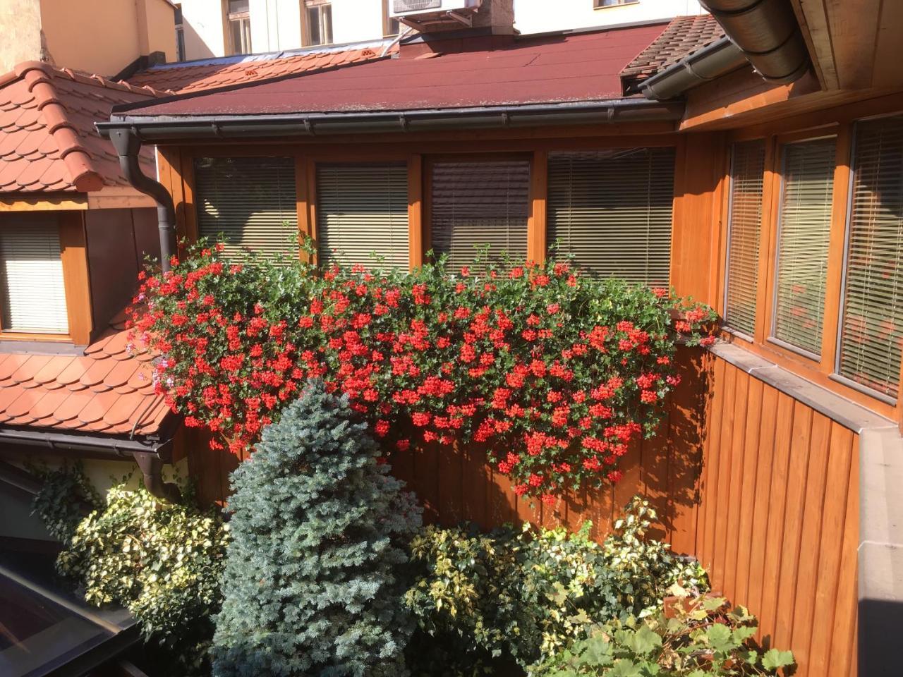 Penzion U Borovicku Litoměřice Extérieur photo